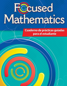 Focused Mathematics Intervention: Nivel 4 (Level 4): Cuaderno de practicas guiadas para el